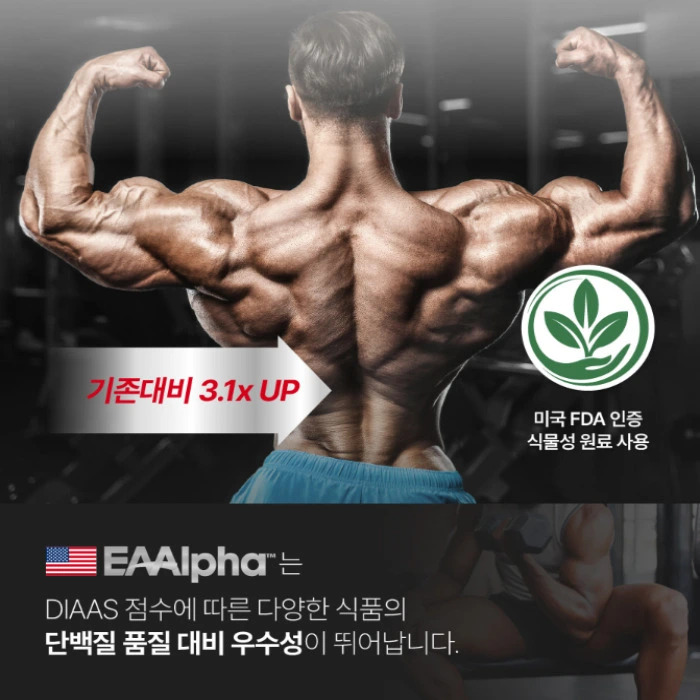 뉴티365 뉴티엠 부작용 내돈내산 후기 효능 복용법