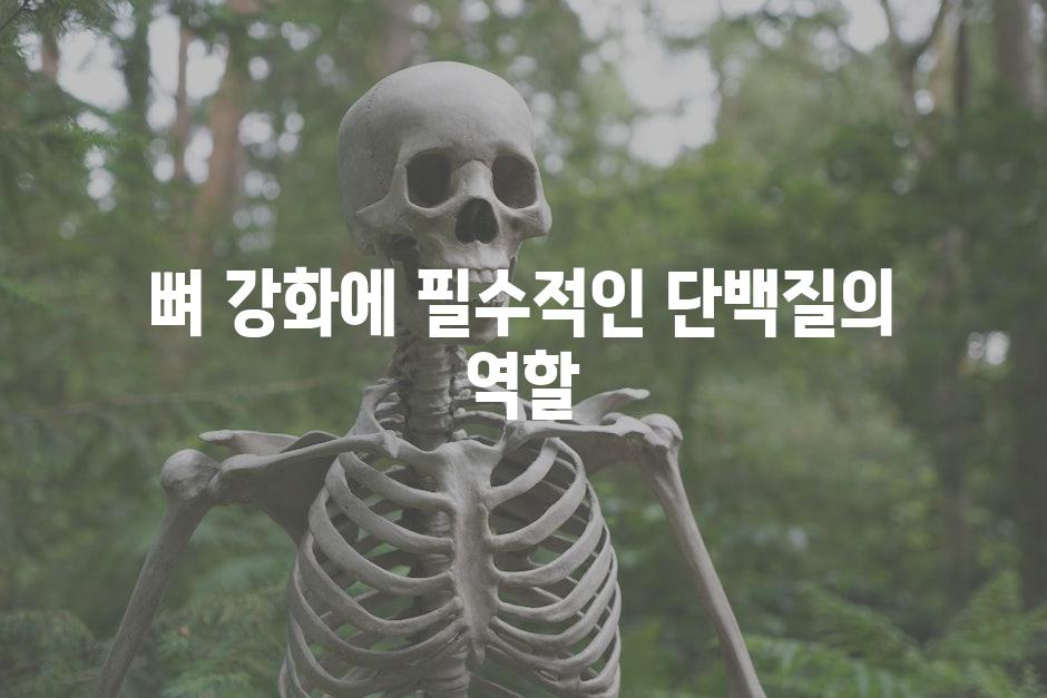 뼈 강화에 필수적인 단백질의 역할