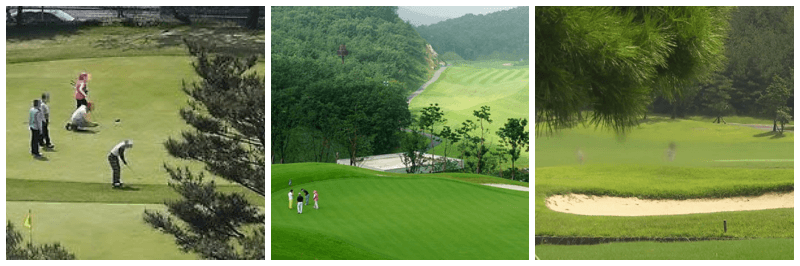 육군 체력단련장 사진 3개