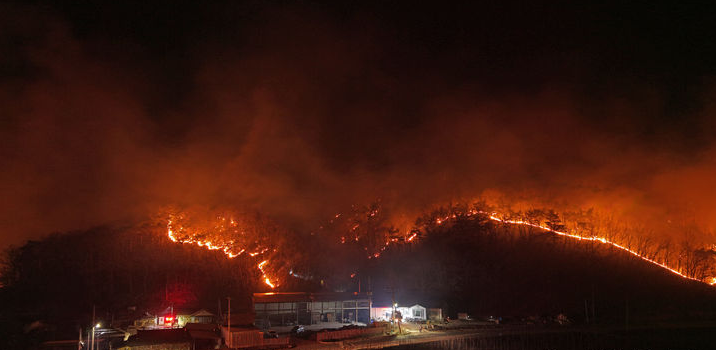 의성 산불 현장 사진