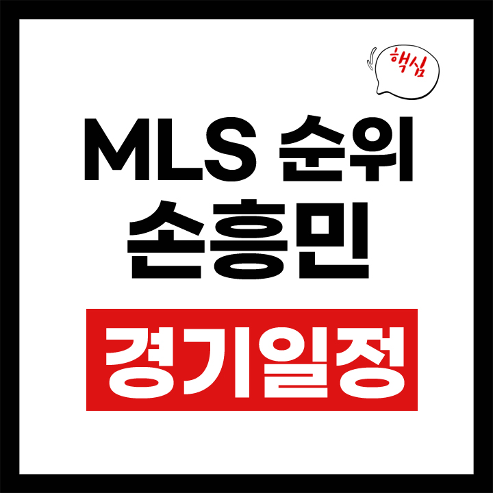 MS 리그 순위