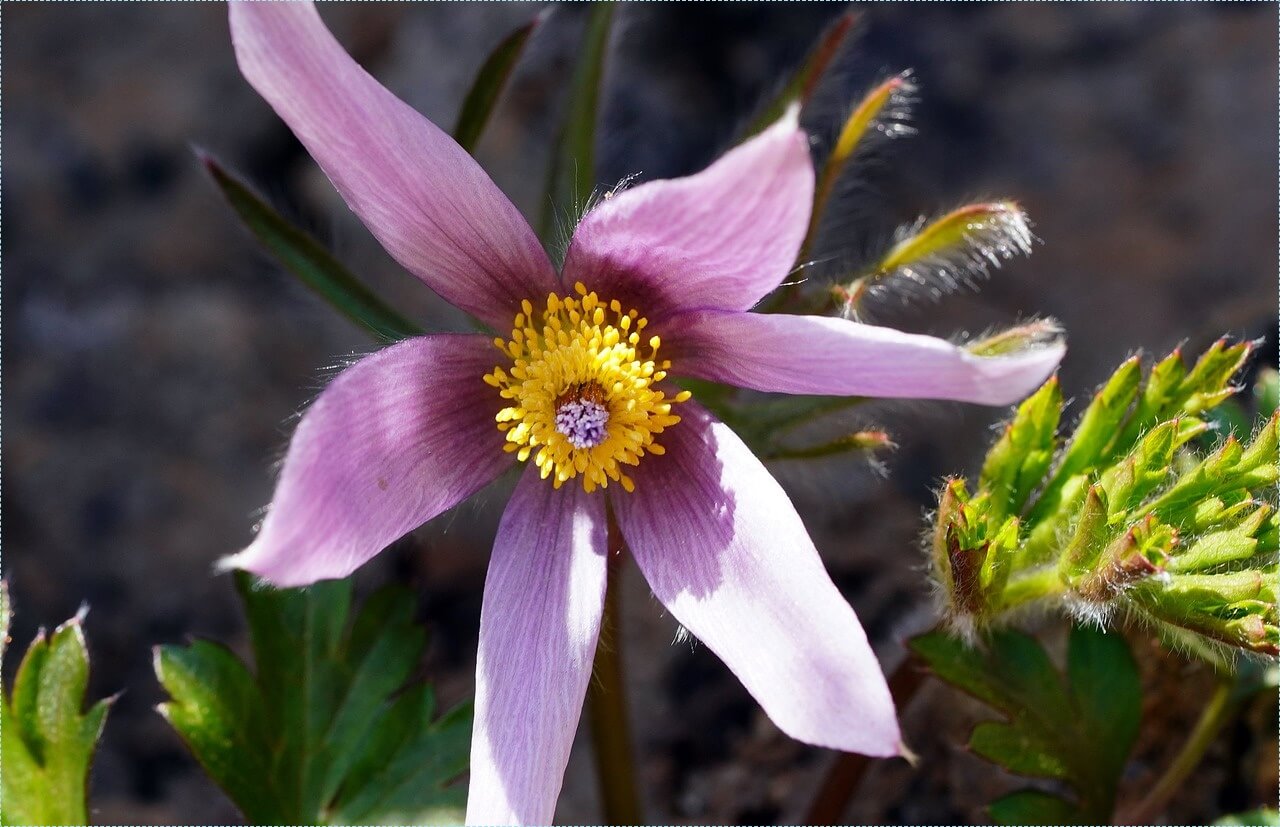 적금 이율 높은 은행