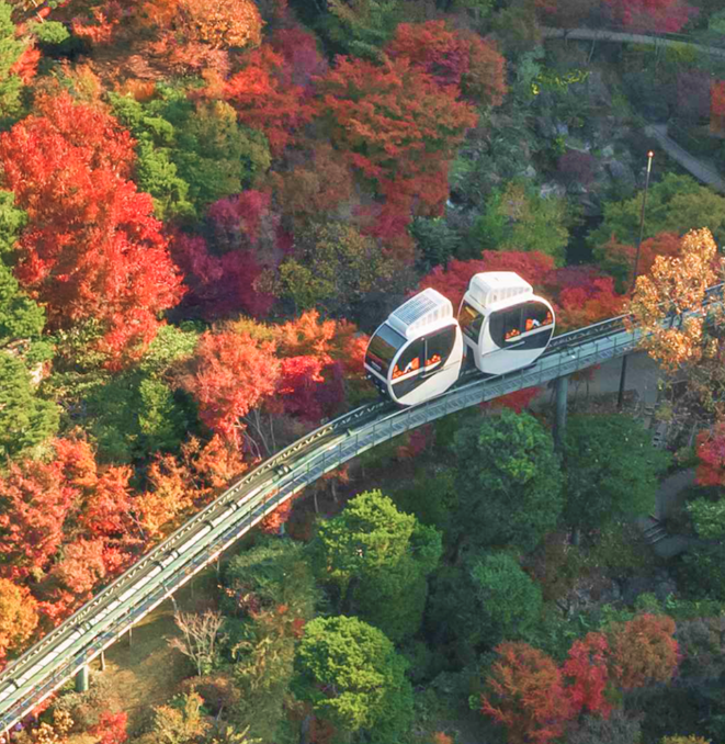 화담숲-예약-방법-2025년-최신-입장료-완벽-가이드