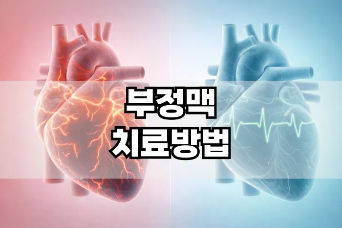 부정맥 치료방법