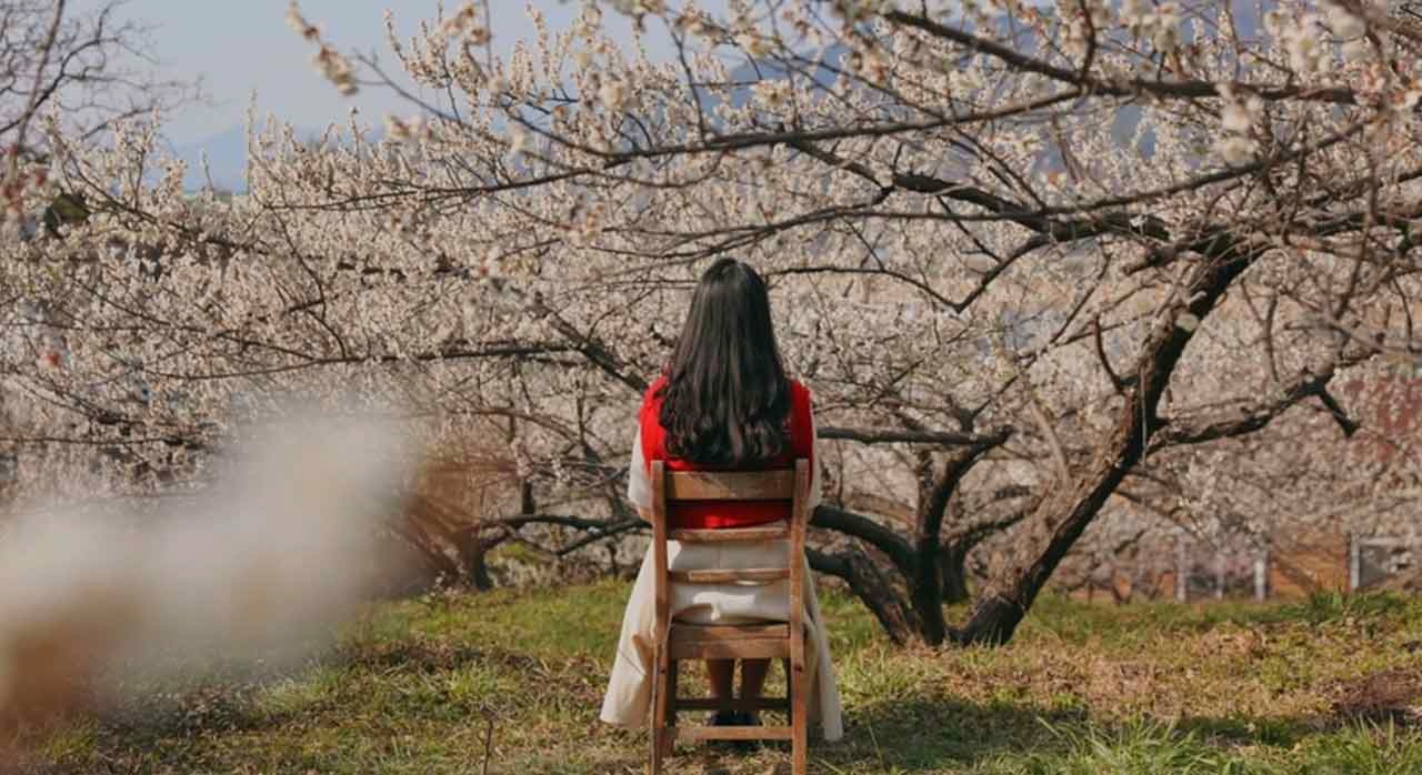 광양 매화축제에서 사진을 찍는 여행객의 모습. [ⓒ한국관광공사]