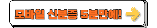 모바일 신분증 발급