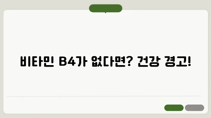 뻯육볼 B4 부족증상