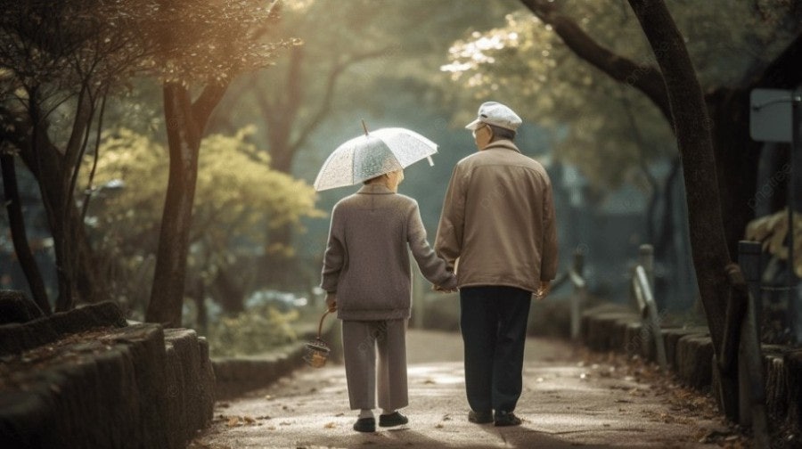 나무가 우거진 고즈넉한 산책로를 배경으로, 손을 맞잡고 나란히 걷고 있는 노부부의 뒷모습. 할머니는 작은 투명 우산을 쓰고 있으며, 두 사람의 발걸음에서 오랜 세월을 함께한 동반자로서의 신뢰와 평화로움이 느껴지는 서정적인 이미지.