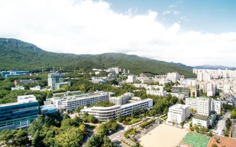 부산대학교(국공립대학교)