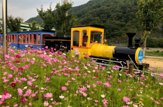 청도 레일바이크