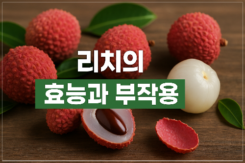 리치의 효능과 부작용