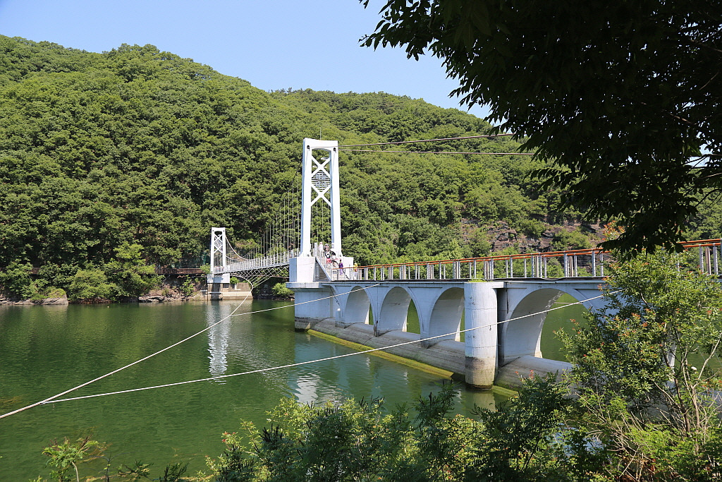 진천 아파트 단지별 상세 분석 — 실제 거주 기준으로 보는 “신축 vs 구축 + 생활권 차이”