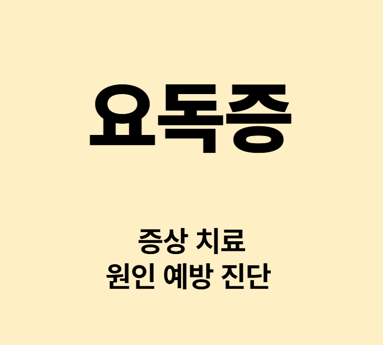 체내 노폐물과 독성물질이 혈액에 축적되는 증상 요독증 치료