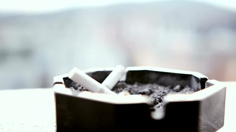 담배값 인상 시기