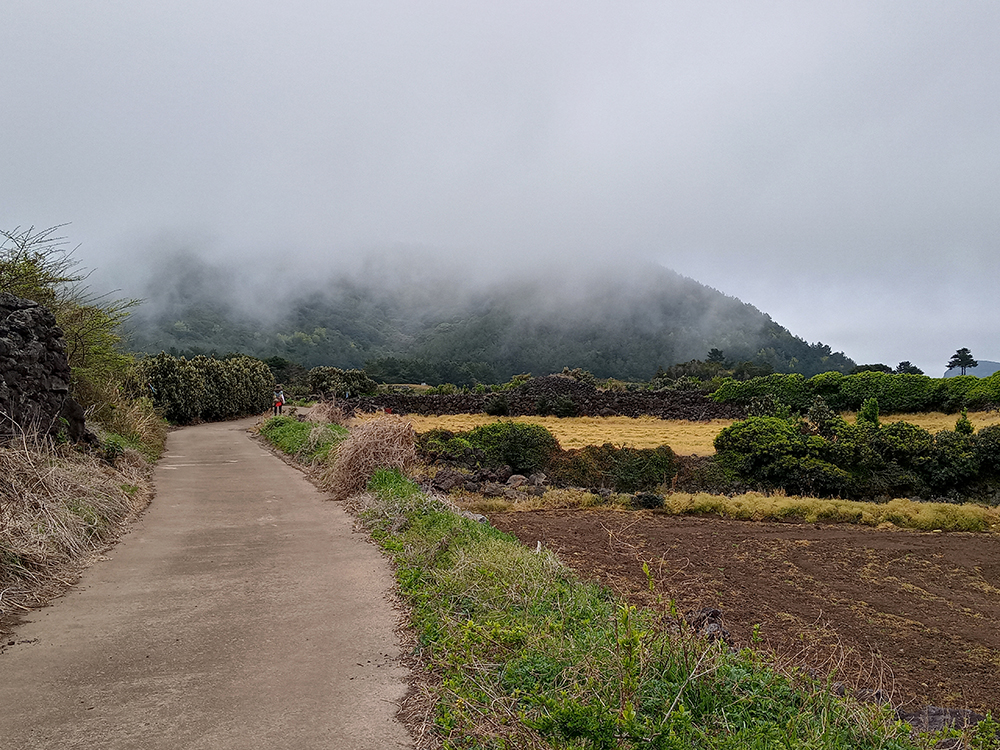 올레길 21코스: 지미봉 밭길