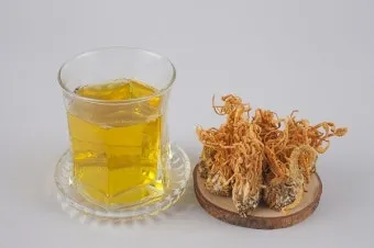 약용식물 동충하초 자연의 신비 건강 효능과 활용_16