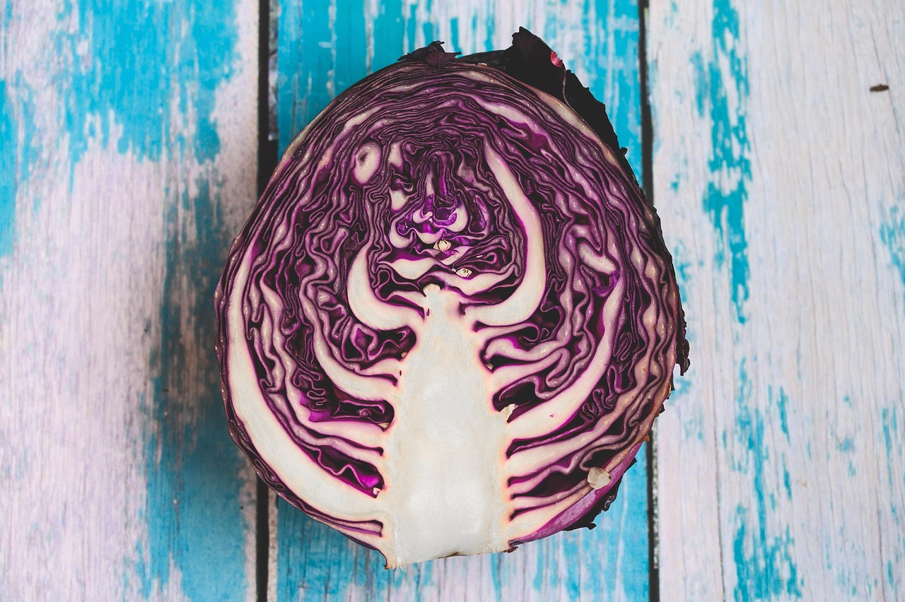 양배추와 스트레스 완화, 뇌 기능 향상, 정신 건강의 연관성