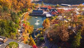 2024 화담숲 단풍 사전예약