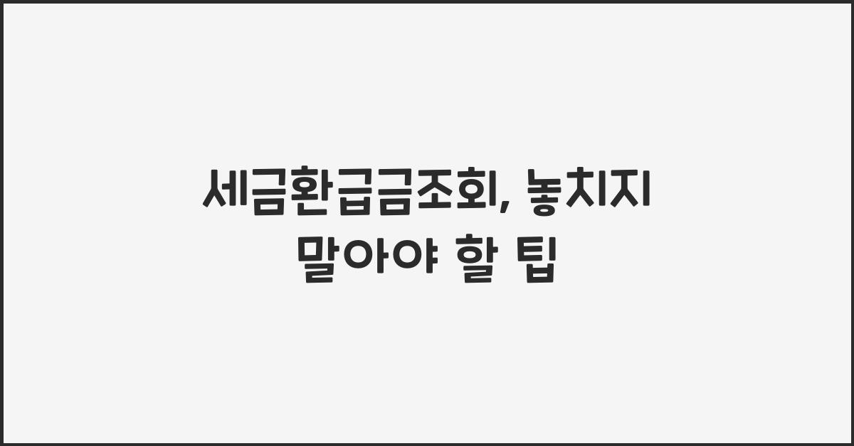 세금환급금조회