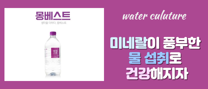 몽베스트생수