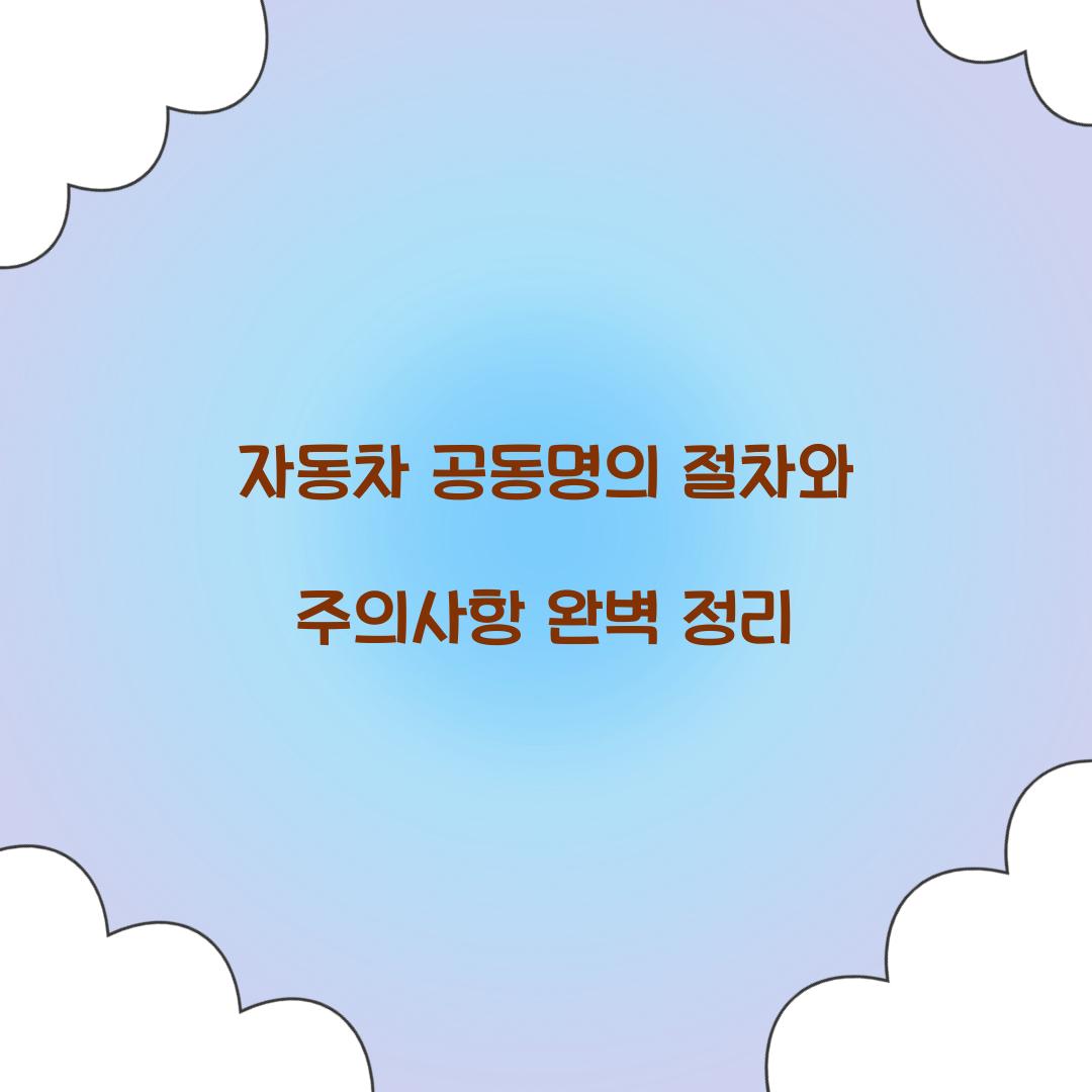 자동차 공동명의