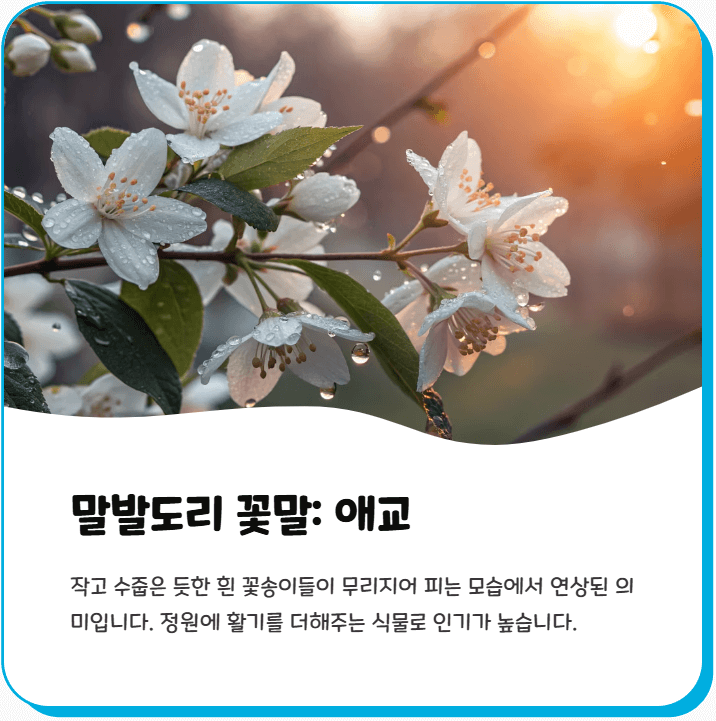 말발도리