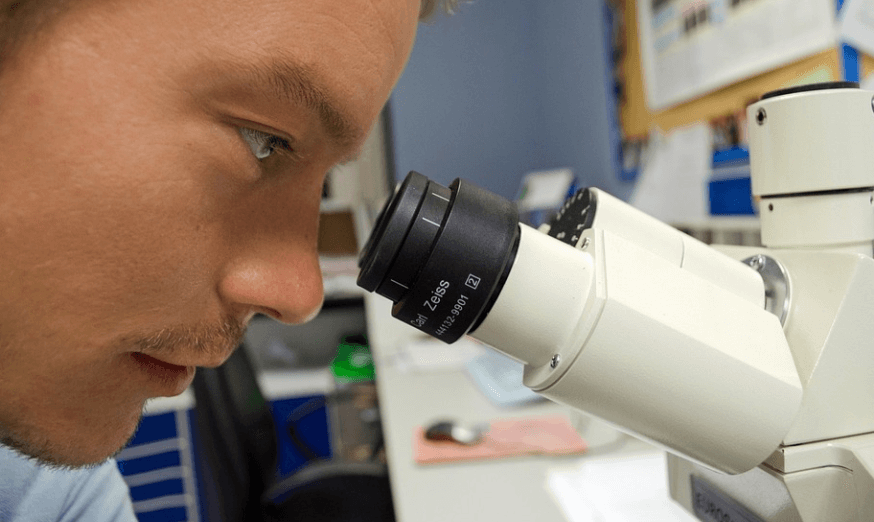 삼채 효능을 알아보기 위해 현미경으로 확인하고 있는 모습
