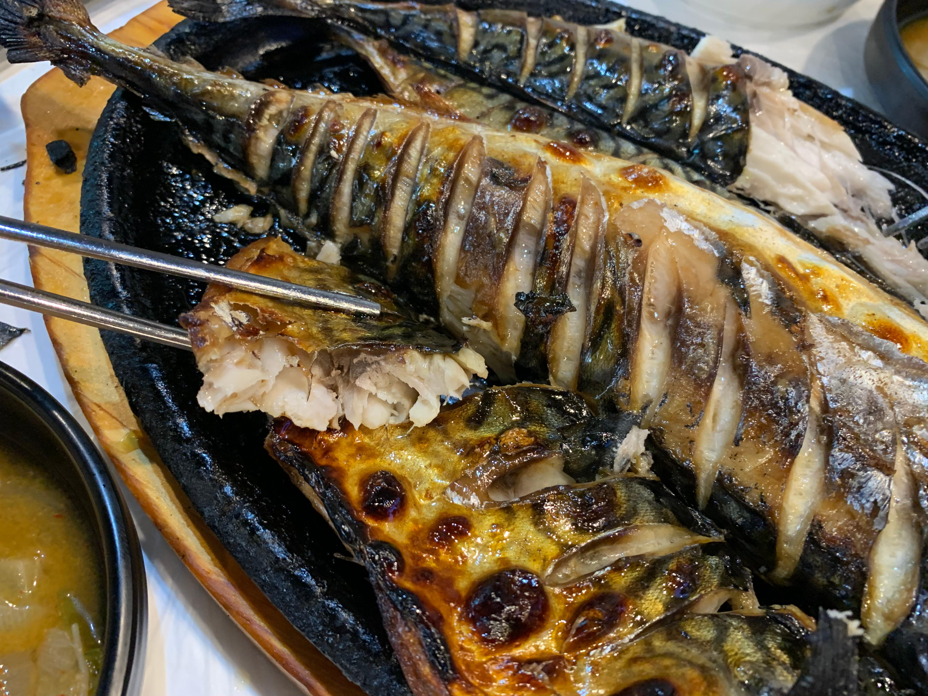 까치산&middot;신월동 맛집! 화덕생선구이굽자 &ndash; 바삭 촉촉한 고등어구이 &amp; 솥밥까지 완벽한 한 끼!