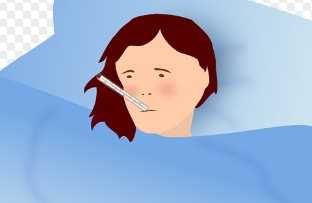 독감에 좋은 음식