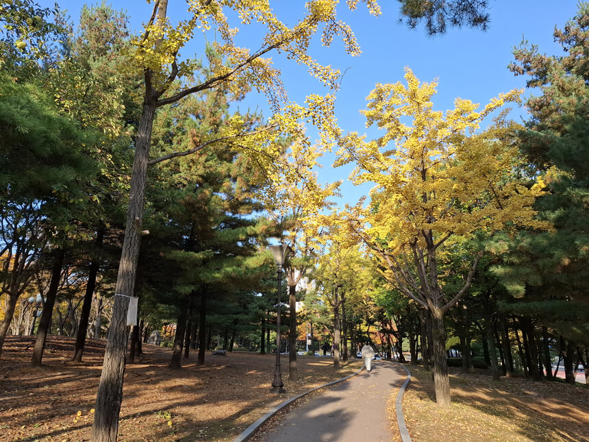 서울&middot;수도권 가을 피크닉 명소 총정리 : 단풍 아래에서 즐기는 힐링 한 끼