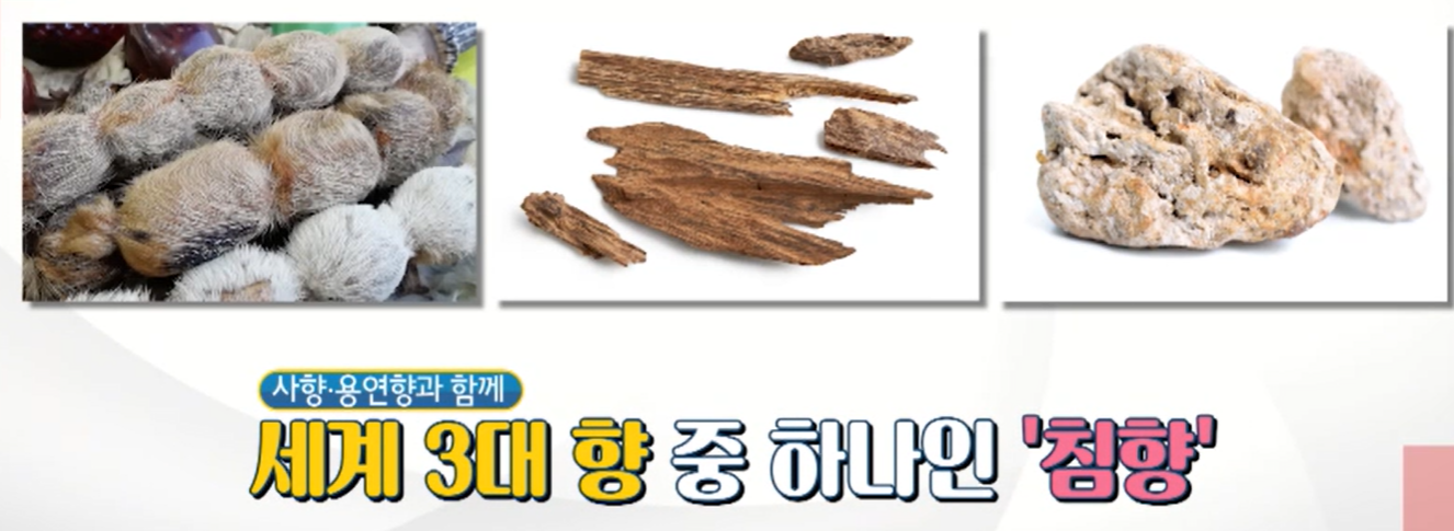 침향이란?
