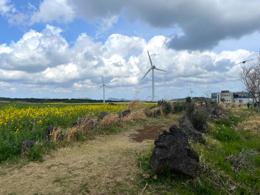 가시리 풍력발전단지 내부