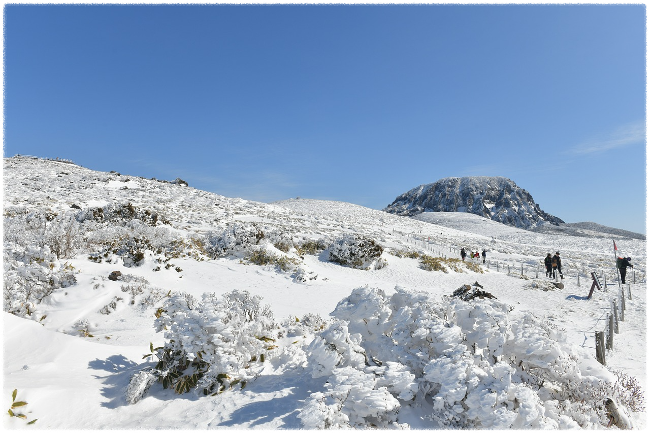 한라산 탐방로 예약 시스템