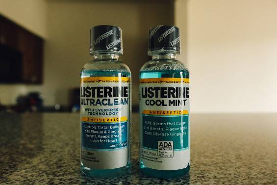 러브버그 뜻, 천적, 퇴치방법 총정리