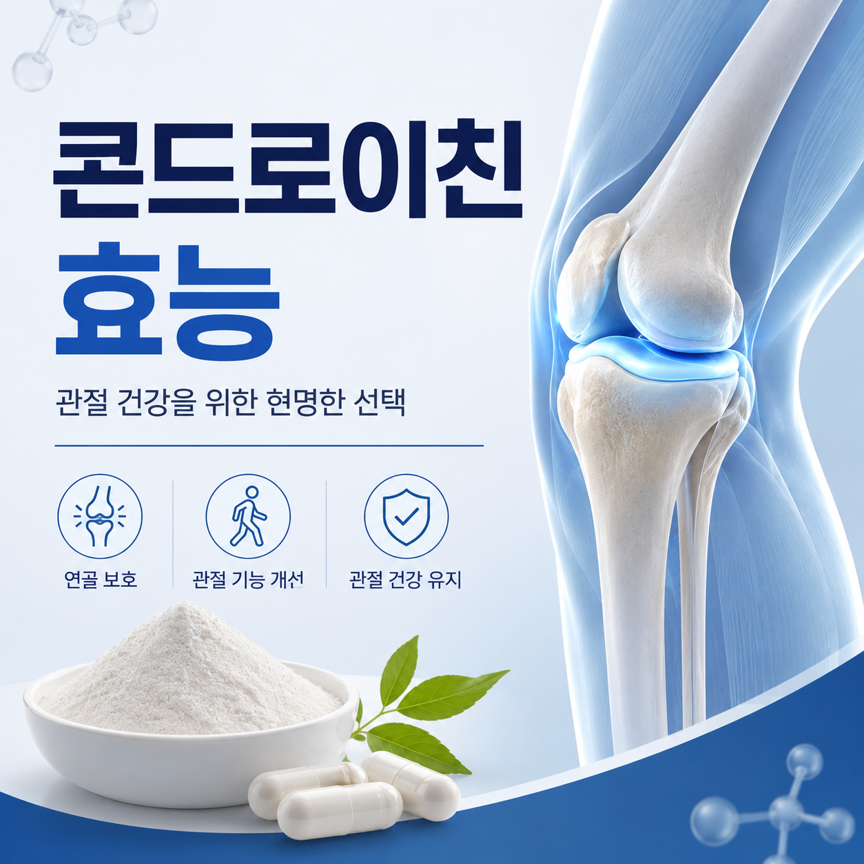 콘드로이친 효능