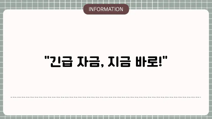 긴급 생활자금지원 프로그램: 지원 받을 수 있는 현황