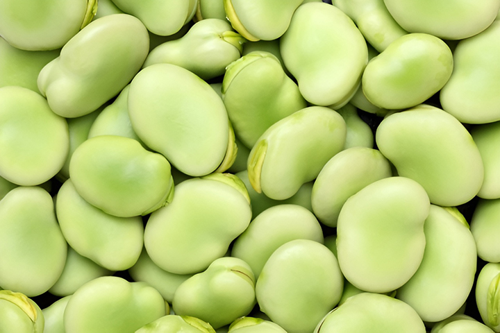 신선한-파바빈-모습