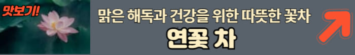 연꽃 차