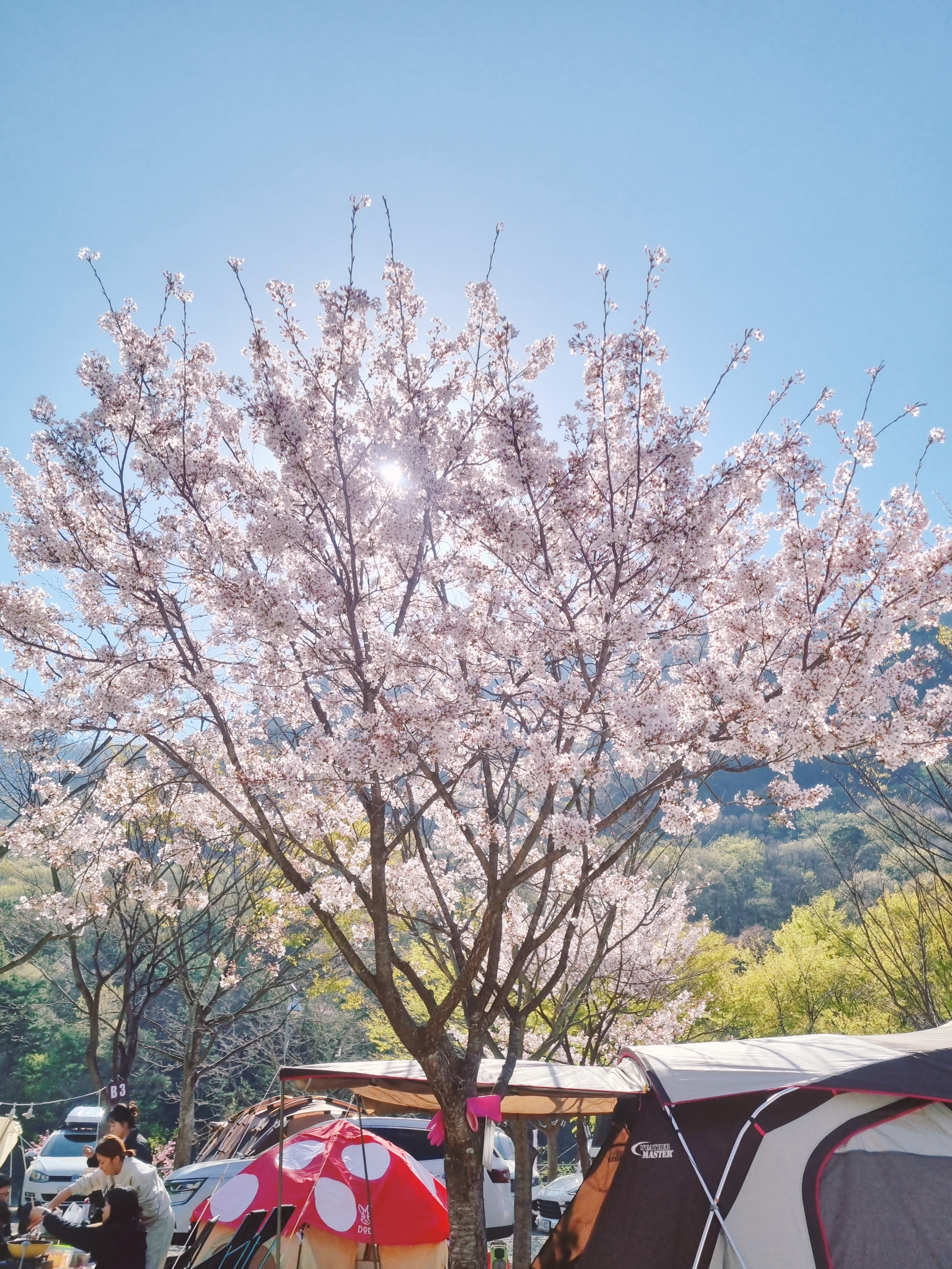밀양 산여울 캠핑장