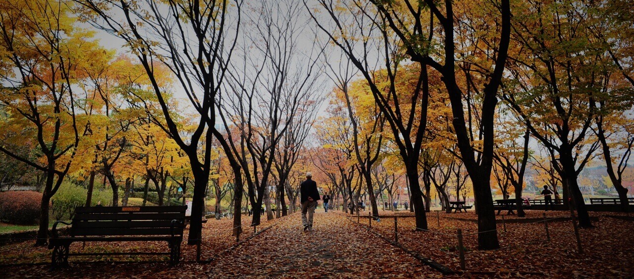 보라매공원 놀이터의 다양한 시설들