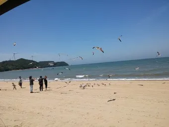 장경리 해수욕장 소개 및 여름 영흥도 여행 코스 추천_4