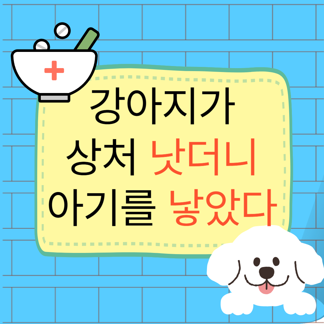 낫다낳다2