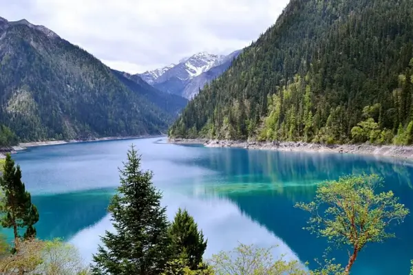 진푸른-호수와-울창한-삼림-사이로-멀리-눈-덮인-설산이 -웅장하게-펼쳐진-장해