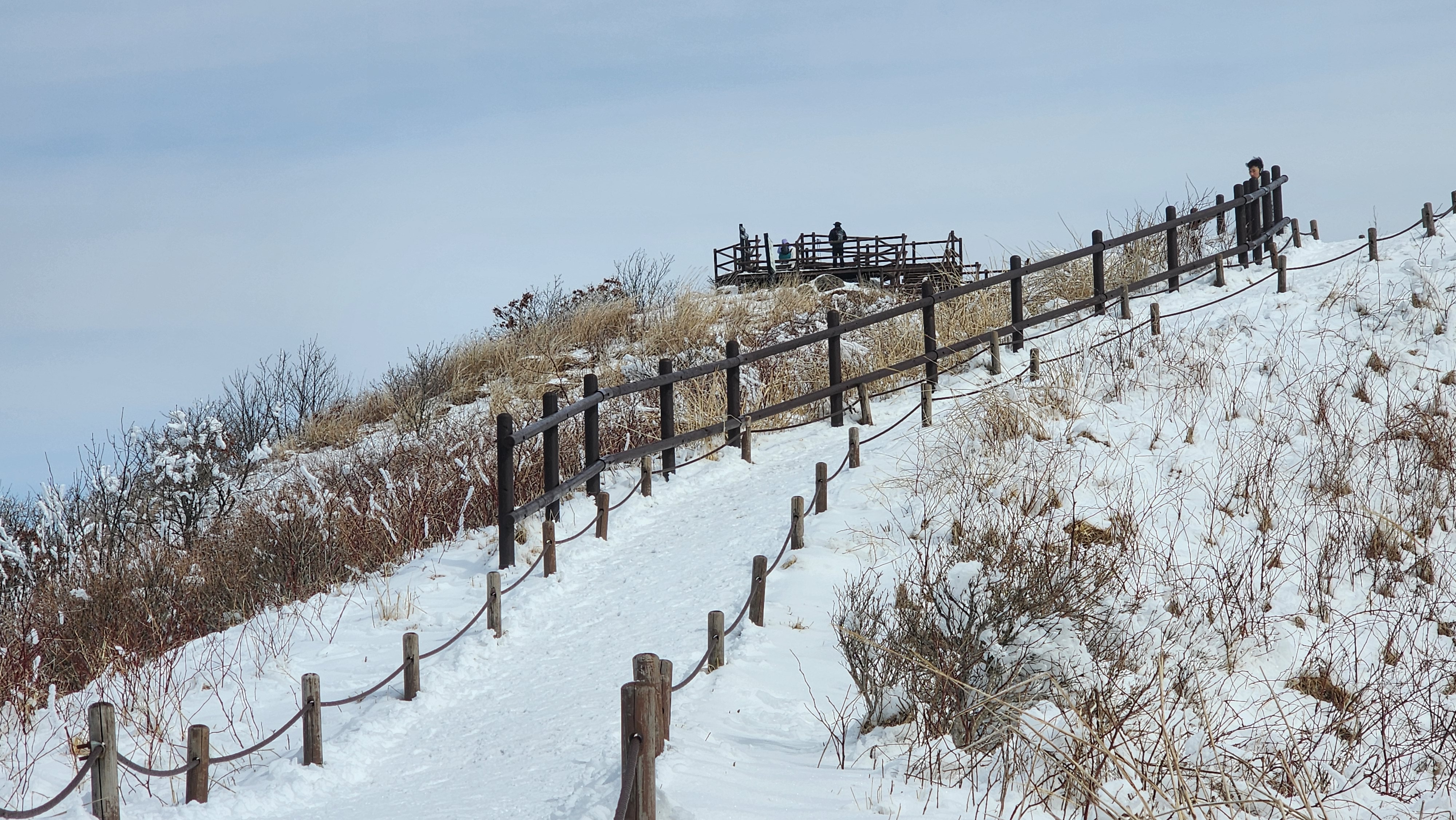 버래봉 정상으로 가는길