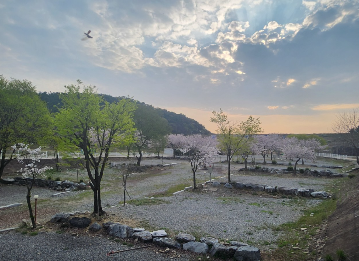 충주더열린캠핑장