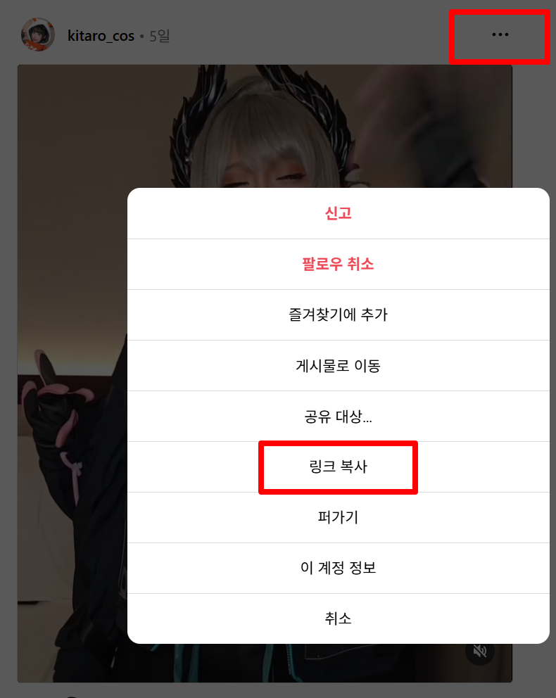 SnapInsta를 이용한 인스타그램 동영상 다운로드