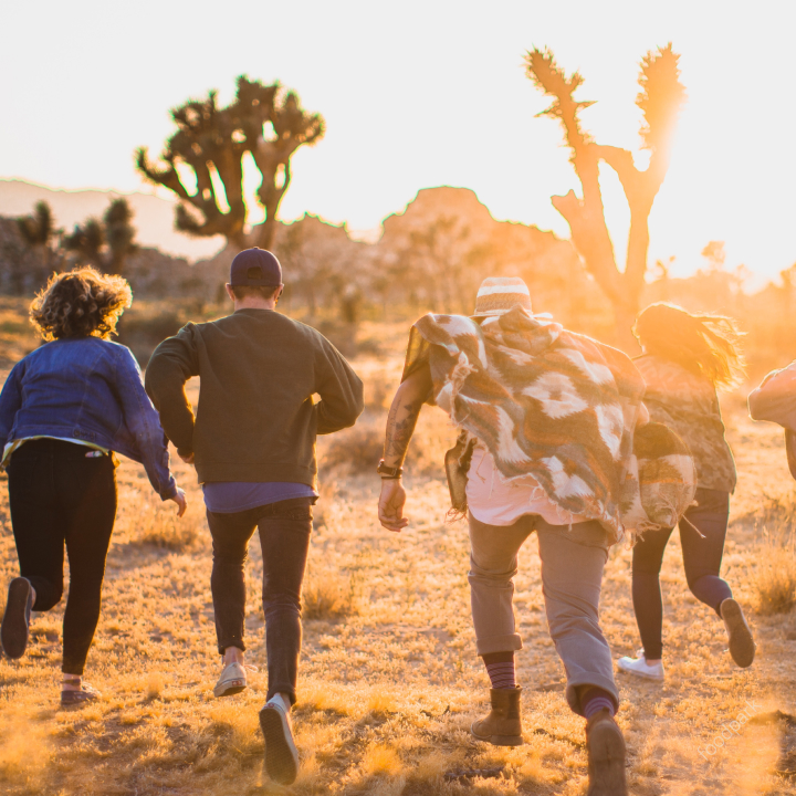 서울 청년 대중교통비