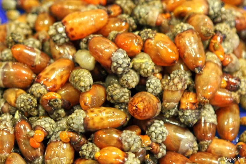 미더덕 찜국 미더덕회 미더덕철 오만둥이 레시피_5