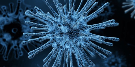 코로나 백신 접종 예약 홈페이지1-1