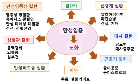 염증